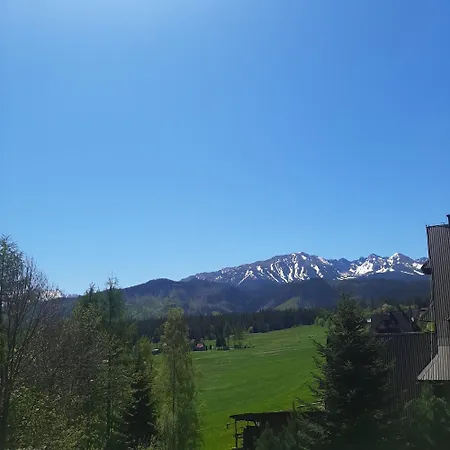 Goscinne U Janusza Guest house *