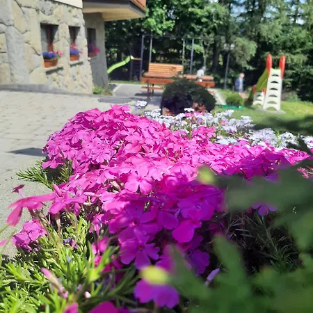 Guest house Goscinne U Janusza Murzasichle