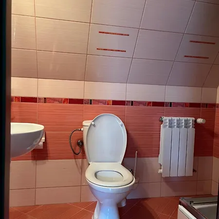 Guest house Goscinne U Janusza Murzasichle