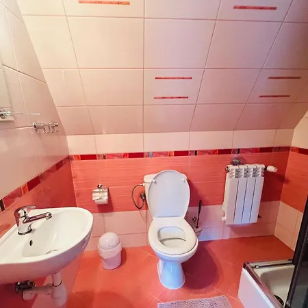 Guest house Goscinne U Janusza