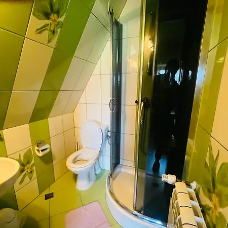 Guest house Goscinne U Janusza *