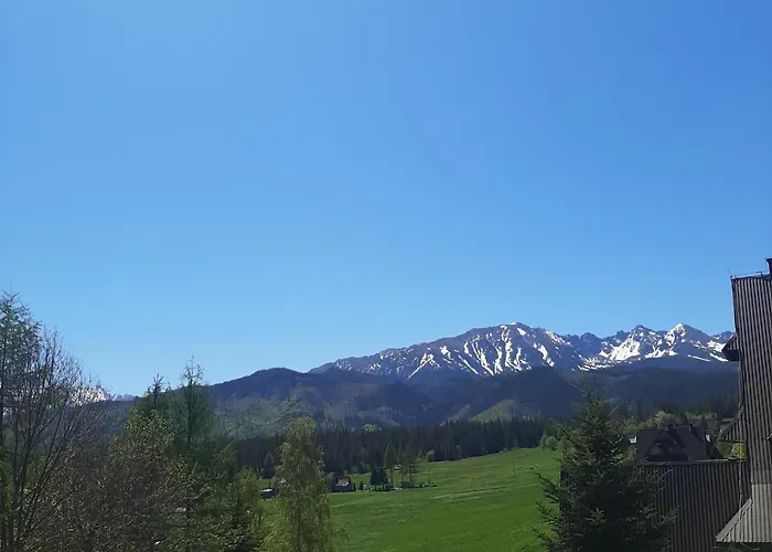 Gościnne U Janusza Pensjonat 3*