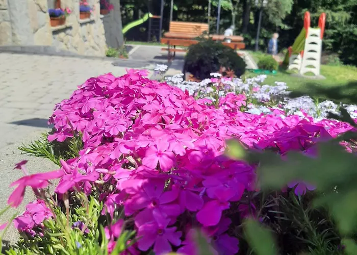 Pensjonat Gościnne U Janusza Murzasichle